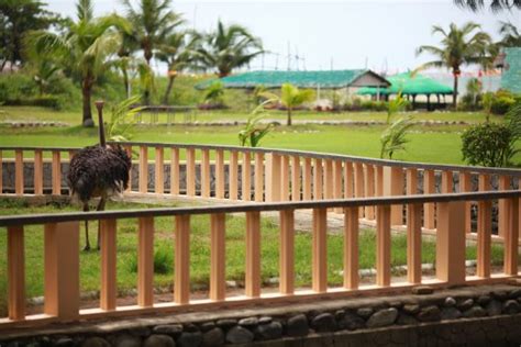 fort ilocandia horror stories|The SECRET Mini Zoo of Fort Ilocandia .